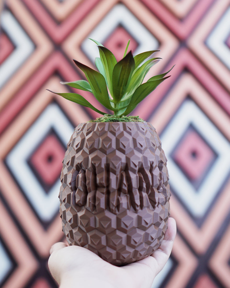 clay pineapple planter Ohana Pineapple Planter – Galactic Garden Arts