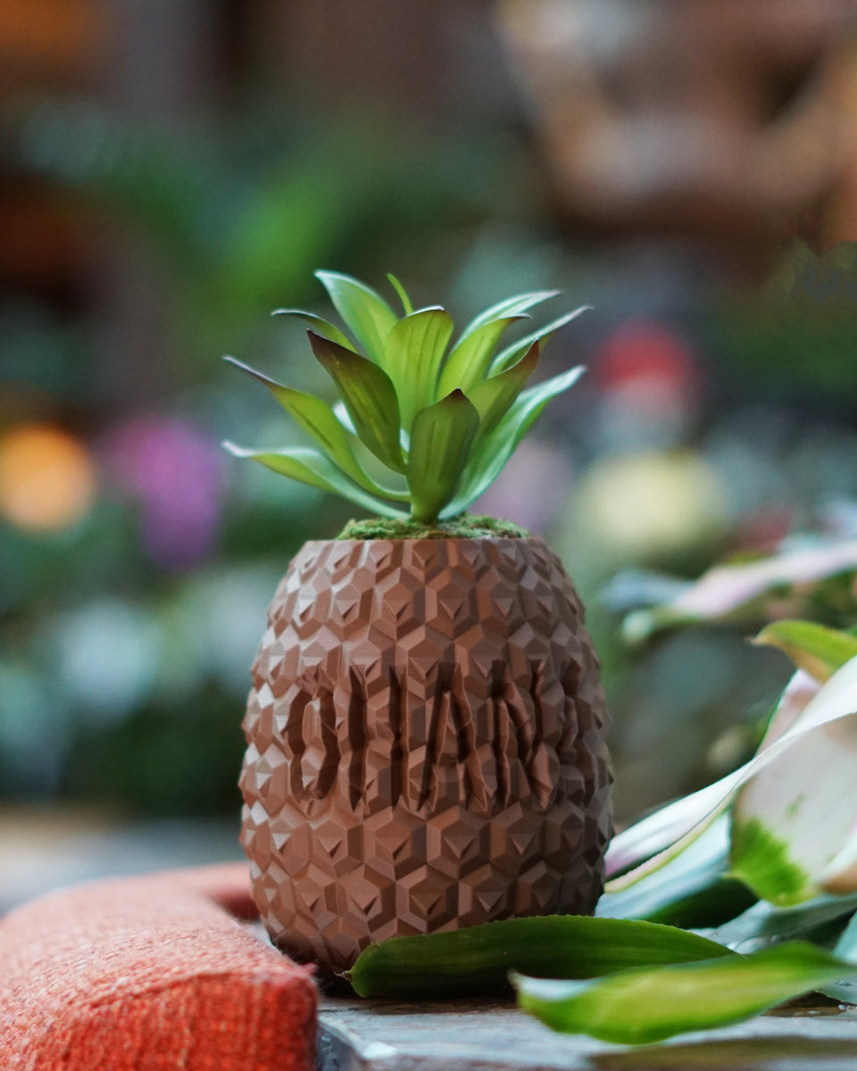 pineapple vase planter Ohana Pineapple Planter – Galactic Garden Arts