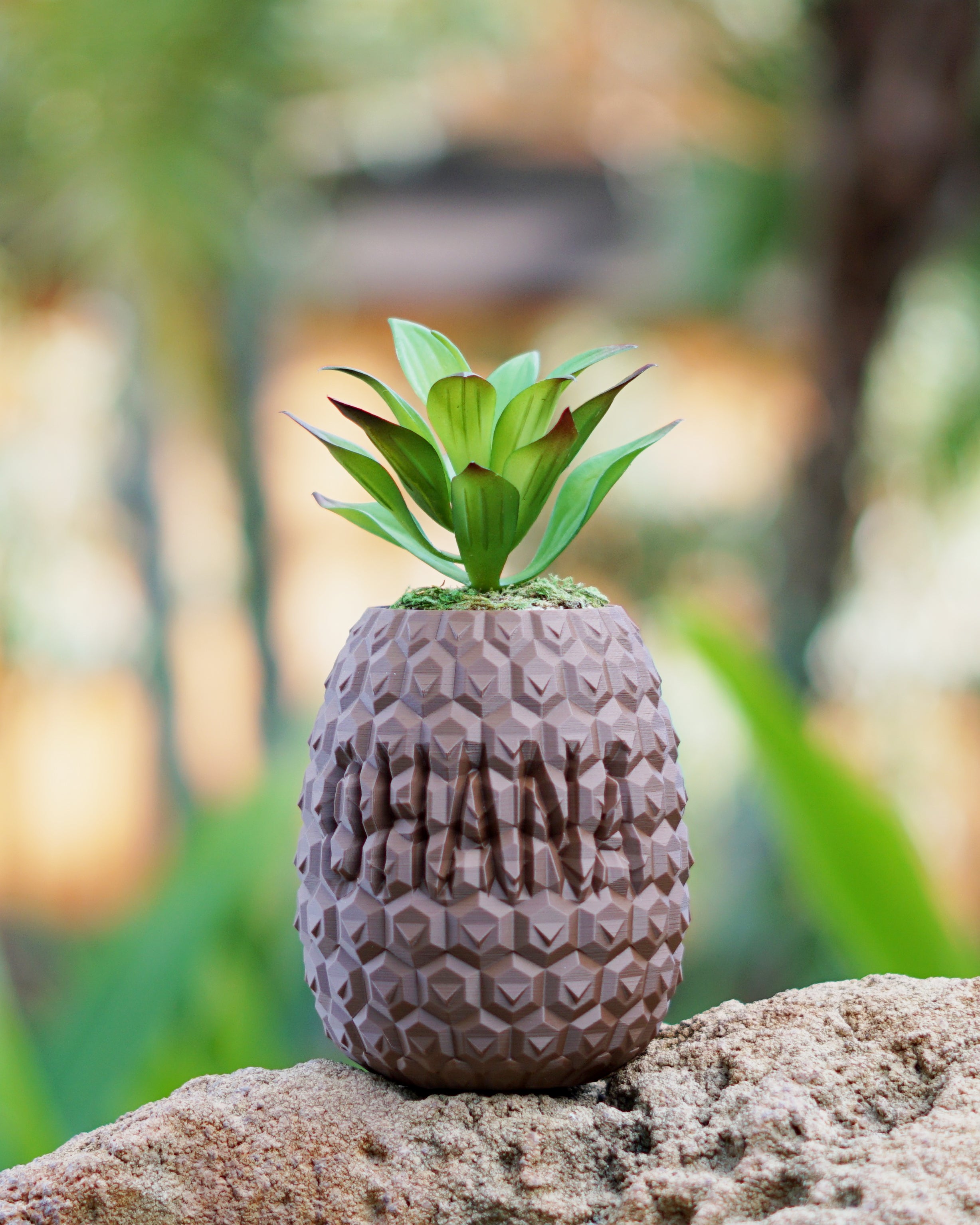pineapple plant pot Ohana Pineapple Planter – Galactic Garden Arts