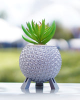 Silver Grand and Miraculous Planter