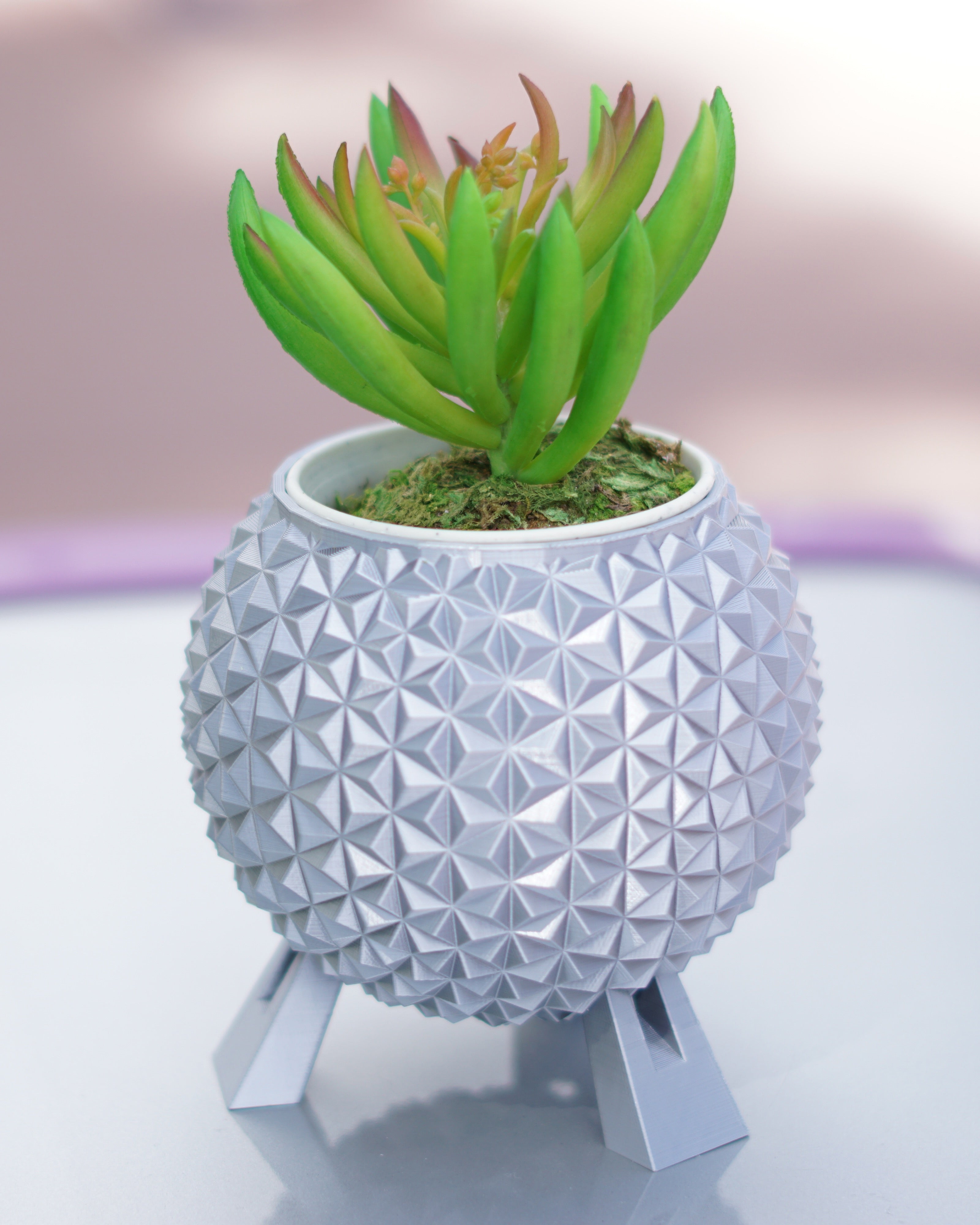 Silver Grand and Miraculous Planter