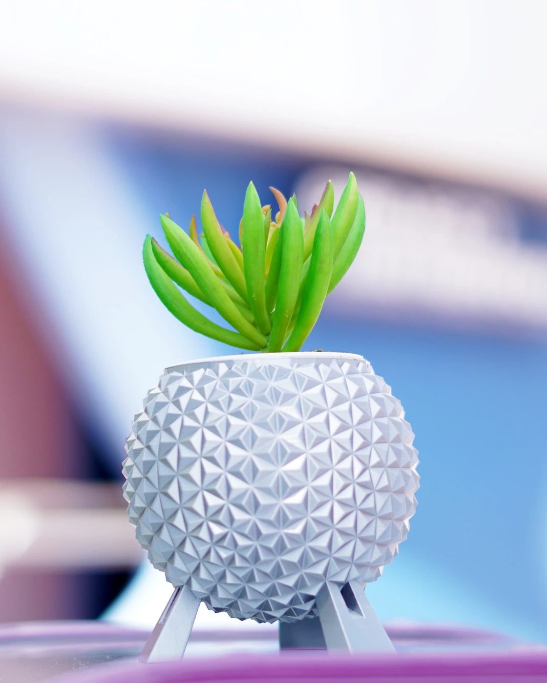Silver Grand and Miraculous Planter