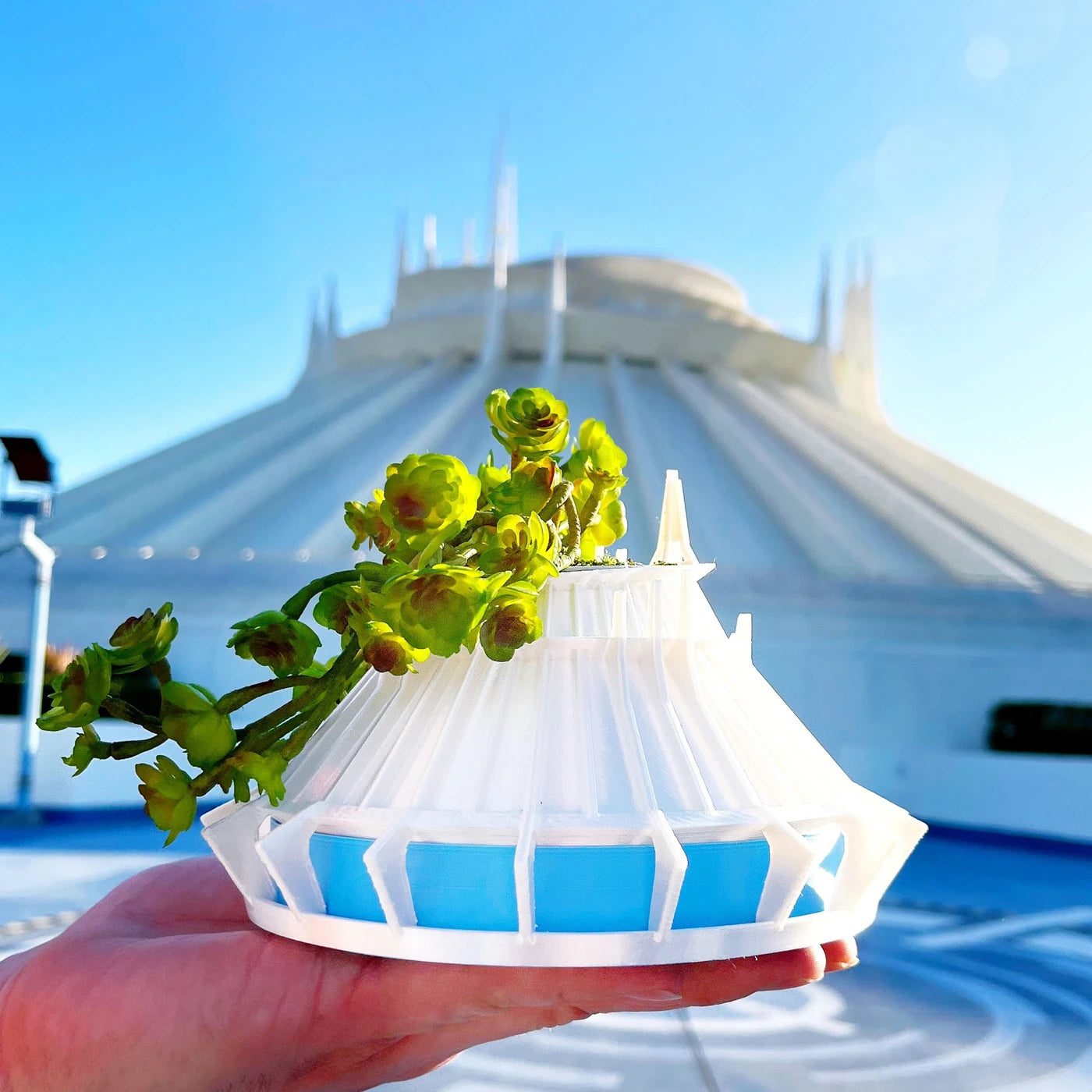 Space Mountain Planter